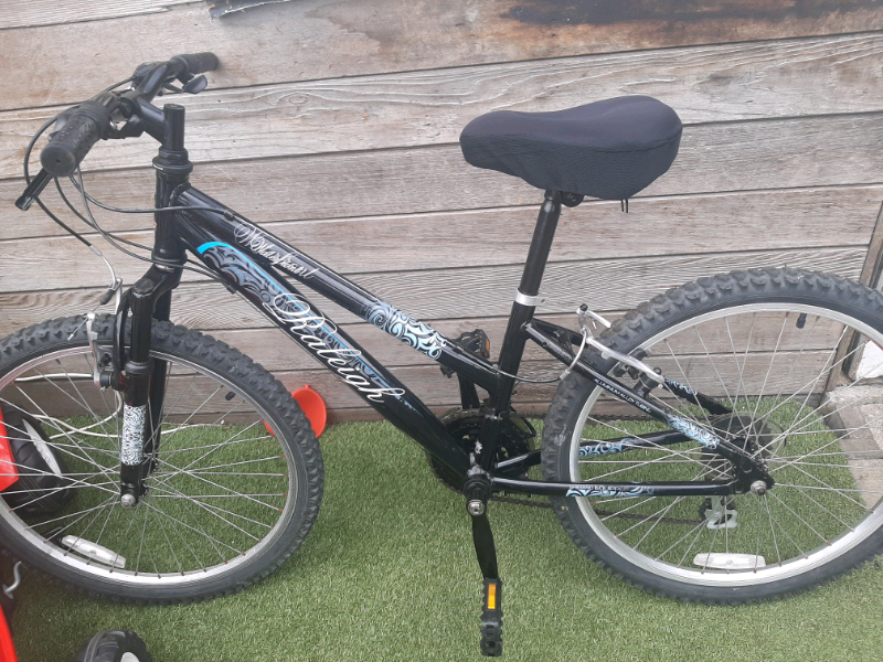 Girls Raleigh bike 24\